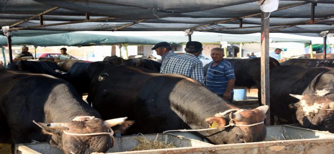 Aliağa’da Kurban Pazarı Kuruldu