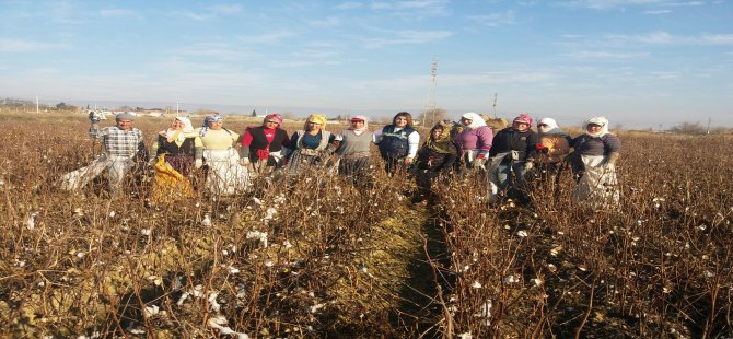 Sarayköy Belediyesi Tarlalarda Çalışan Vatandaşlara Da Ulaşıyor