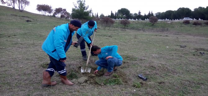 Köprübaşı Mezarlığı Ağaçlandırılıyor