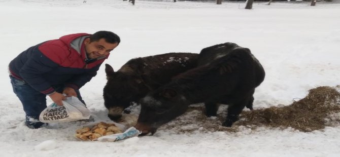 -15 Derecede İçleri Isıtan Çalışma