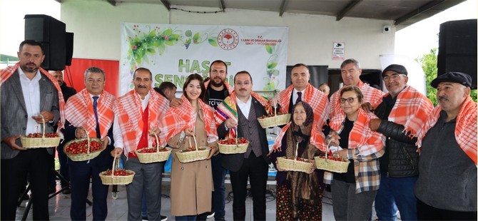 Dünya’nın kirazı Kemalpaşa’dan gidecek