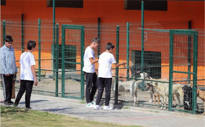 Aliağalılar Pati Park’a Akın Etti