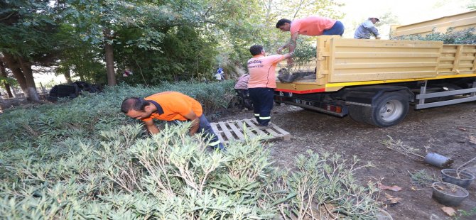 Eski Sera Yeni Mezarlık Alanı Oluyor