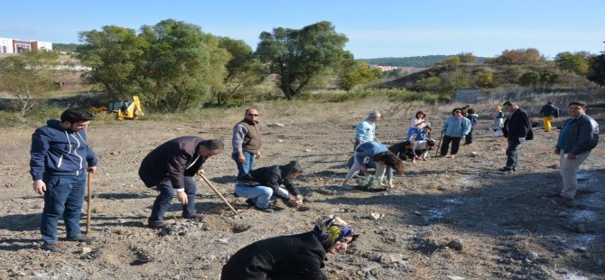 BAUN Botanik Bahçesinde 300 Lavanta Fidanı Toprakla Buluştu