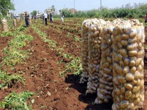 Toprakların Yüzde 95’i Bir Çok Yönden İyi Özelliklere Sahip