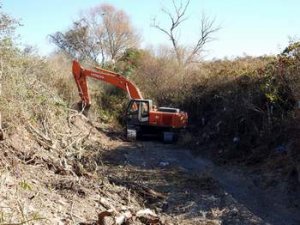 Dikili Belediyesi ve Büyükşehir El Ele Verdi