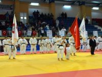 Judoda Türkiye Derecesi