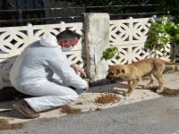 Aliağa Belediyesi Sağlıklı Bir Bayram İçin Seferber Oldu