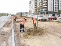 Menemen Belediyesi’nden Ağaç Dikme Seferberliği