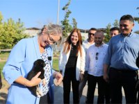 AK Parti İzmir Milletvekili Ceyda Bölünmez Çankırı Barınaktan Yavru Köpek Sahiplendi