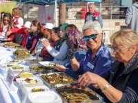 Aliağa’da 3. Zeytin Hasat Şenliği Düzenlendi